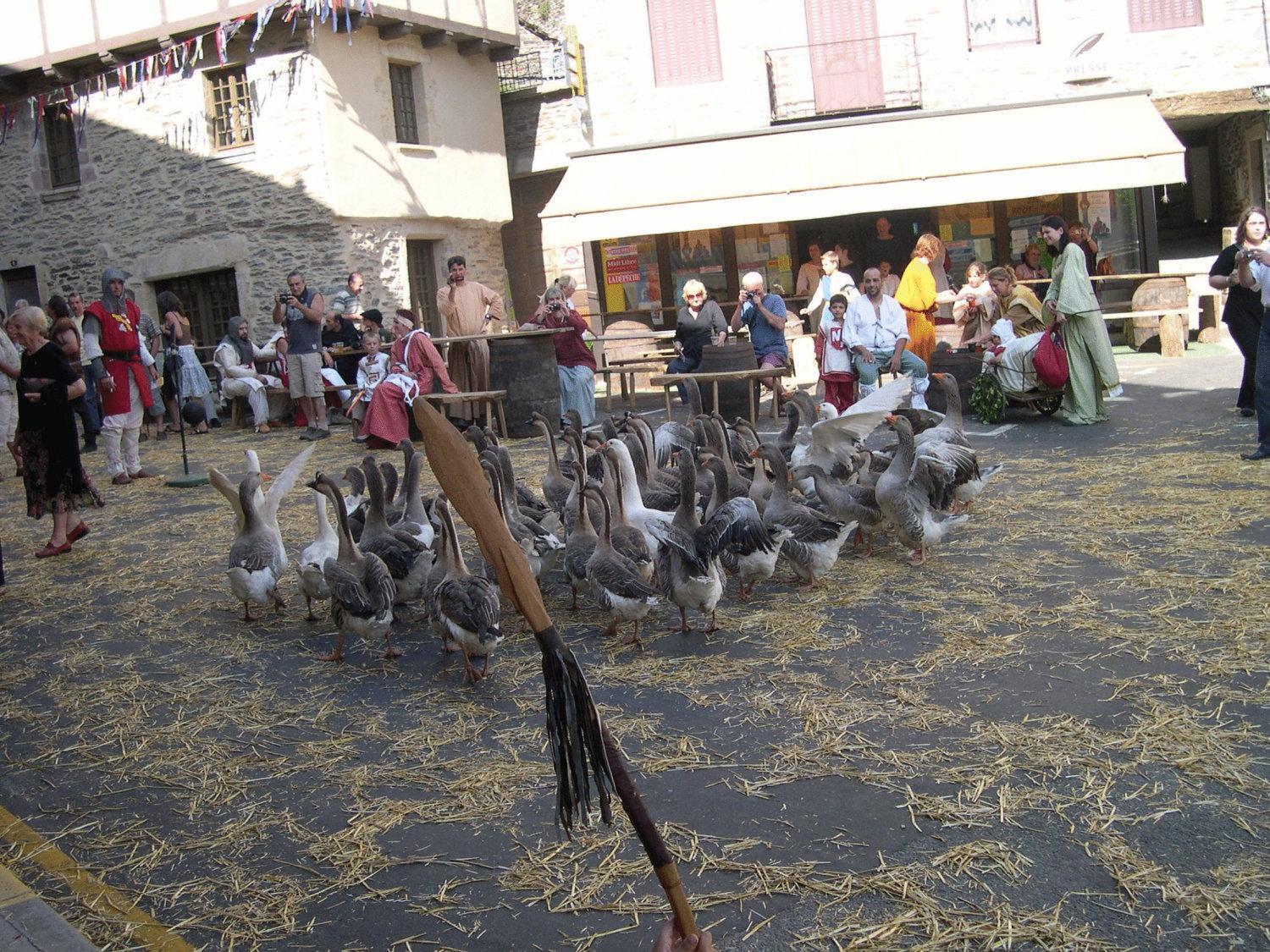 Hotel Restaurant Aux Armes D'Estaing - Kb Hotel Group Exterior photo